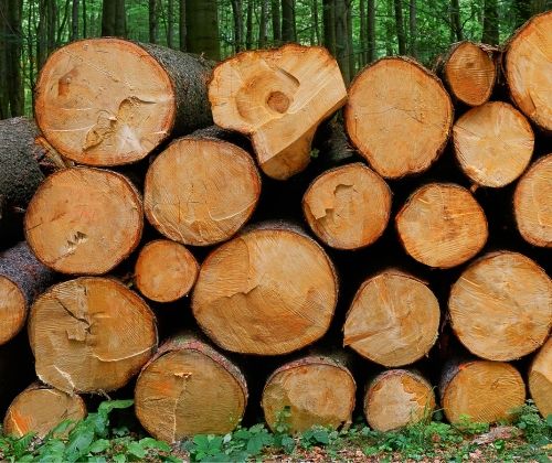 Logs